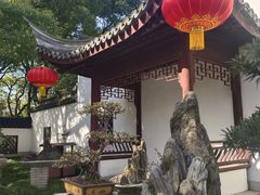 -上海醉白池公园