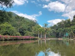 -中国科学院西双版纳热带植物园