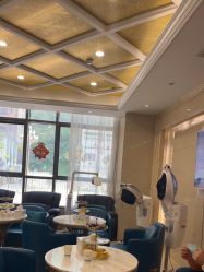 -碧莲盛·不剃发植发