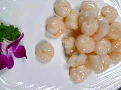 -锦江都城闵行饭店