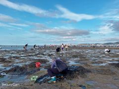 -莫内艺术岛海景咖啡