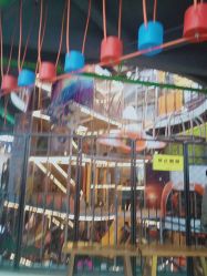 -嗨翻Hi-Fun竞技主题乐园·蹦床团建生日聚会(五棵松华熙店)