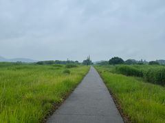 -良渚古城遗址公园