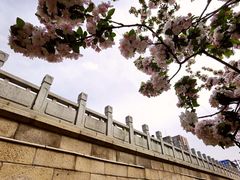 -元大都城垣遗址公园