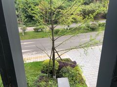 -星湖特色餐厅· 三岔湖环球融创天堂洲际酒店