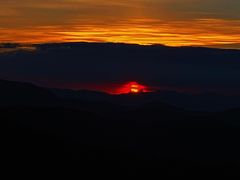 -长虫山生态公园风景林
