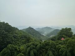 -莫干山风景区