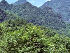 -武当山风景区
