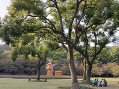 -苏州上方山国家森林公园