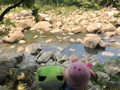 -四会奇石河风景区
