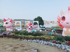 -空港花田景区
