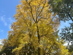 -花水湾第一村温泉大酒店