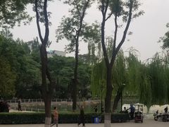 -莲湖公园