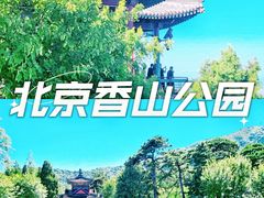 -香山公园