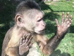 -西安秦岭野生动物园