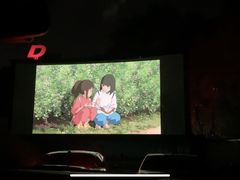-枫花园汽车电影院(朝阳公园店)