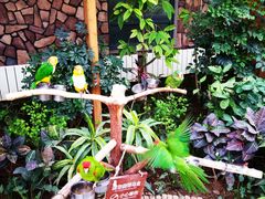 -南宫五洲植物乐园