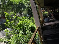 -美食村花园餐厅