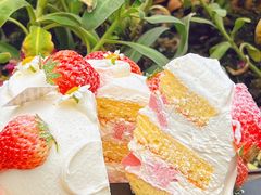 -花花卷卷·鲜食蛋糕(静安久光百货店)