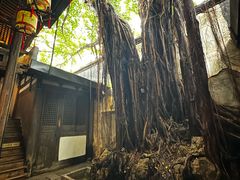 -文儒九号·闽菜馆(三坊七巷店)