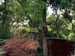 -谷咖啡·鲜花绿植花园餐厅