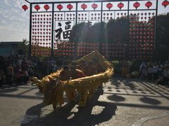 -合肥滨湖国家森林公园