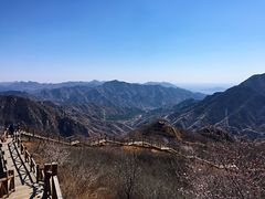 -大岭沟猕猴桃谷风景区