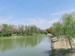 -南湖湿地公园