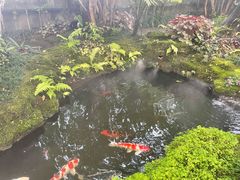 -Chom Cafe and Restaurant