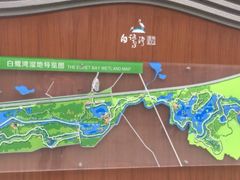 -白鹭湾湿地公园