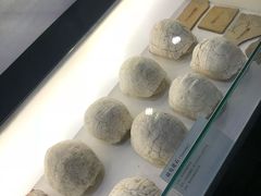 -中国第四纪冰川遗迹陈列馆