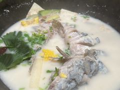 -鲜潭蒸汽石锅鱼(五道口购物中心店)