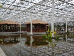 -上海鲜花港