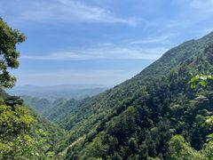 -东天目山风景区