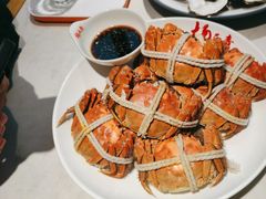 -杨氏青龙虾·羊蝎子(金盛路总店)