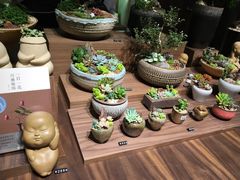 -方所(华润万象城店)
