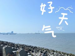 -上海滨江森林公园