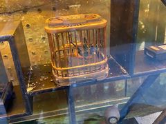-上海大自然野生昆虫馆(东方明珠·爬宠昆虫探索中心)