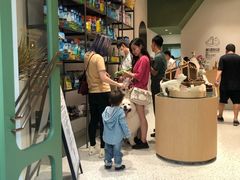 -電力宠物公司(武定路店)