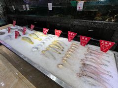 -宝燕壹号(徐汇店)