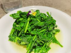 清炒豌豆尖-106餐厅北京菜.烤鸭(百子湾店)