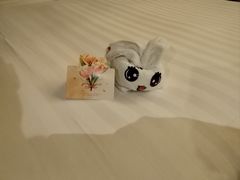 -天津滨海圣光皇冠假日酒店