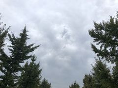 -汉景帝阳陵博物院