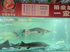 -年辉渔村·非遗传承餐厅(新丰江店)