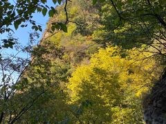 -北京上方山国家森林公园