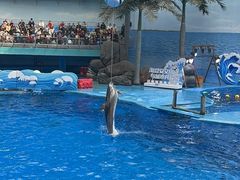 -海合安成都极地海洋公园