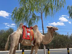 -黄河三峡风景名胜区