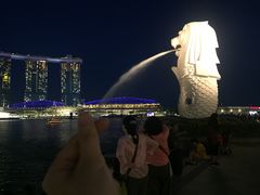-鱼尾狮公园