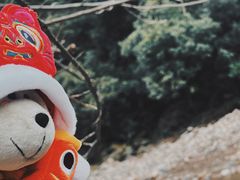 -白云源风景区