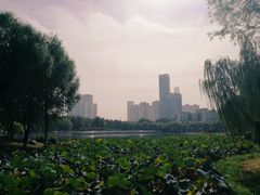 -后襄河公园